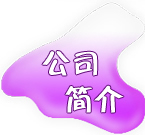 ��˾���