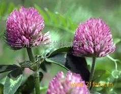 ��Ӧ�쳵����ȡ��