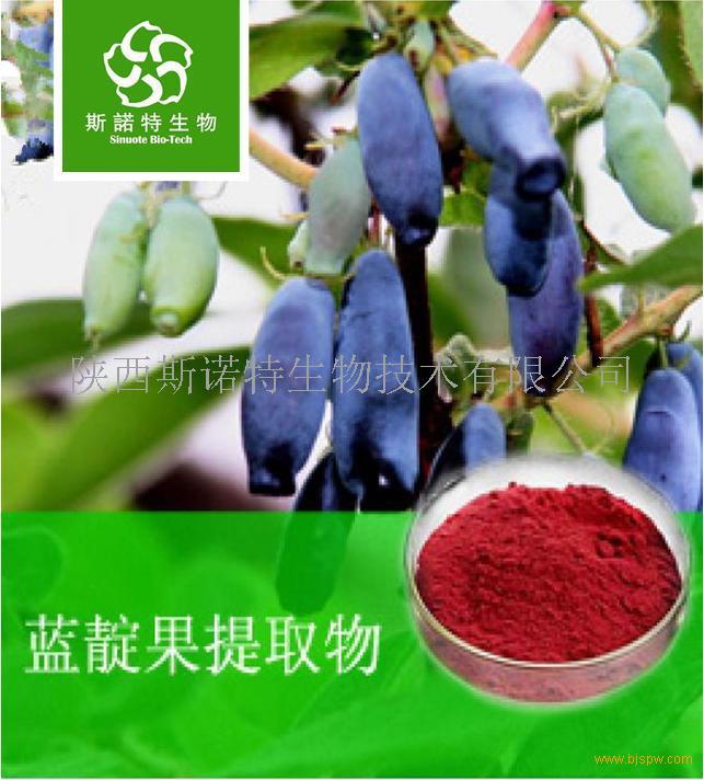 蓝靛果粉 斯诺特诚信工厂 生产直发