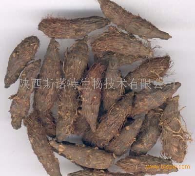 香附子