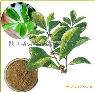 马拉圭茶提取物招商