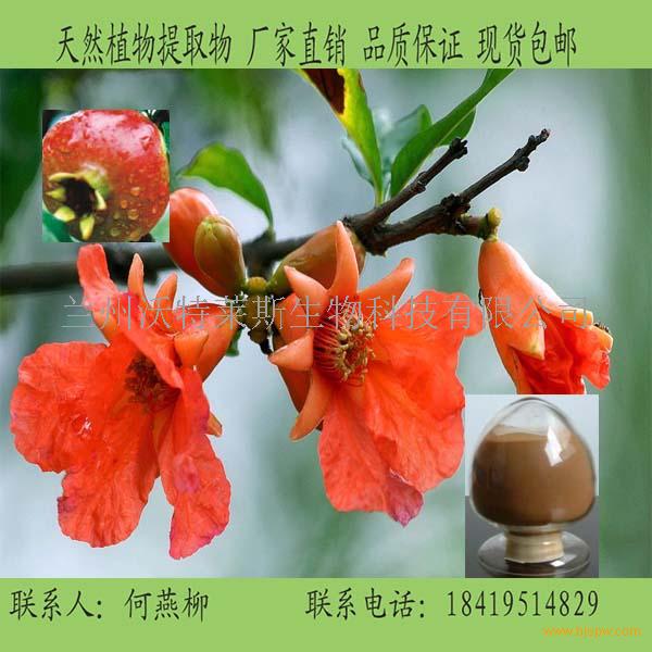 石榴花提取物
