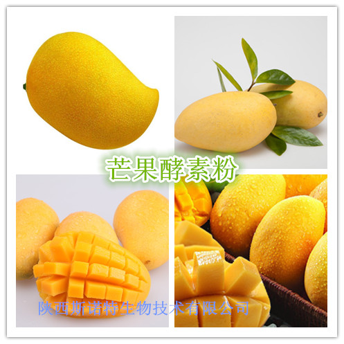 芒果粉 芒果速溶粉 芒果浓缩粉 芒果酵素粉 芒果