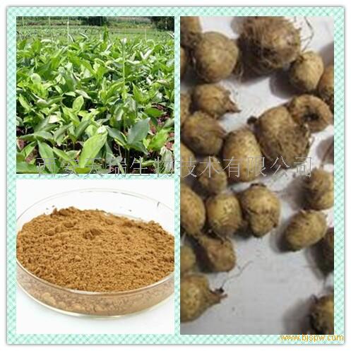 中药材保健品产品招商 -21保健品网