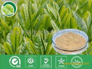 xiantianrui2016$78145617.jpg