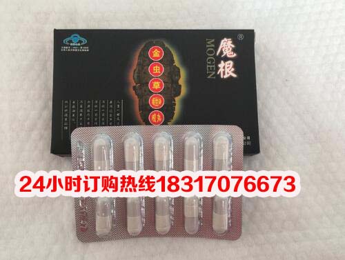 供应魔根金虫草菌丝体丸到底多少钱 (图 新闻报道)
