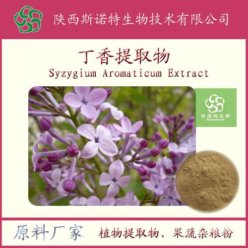 丁香提取物,浓缩粉