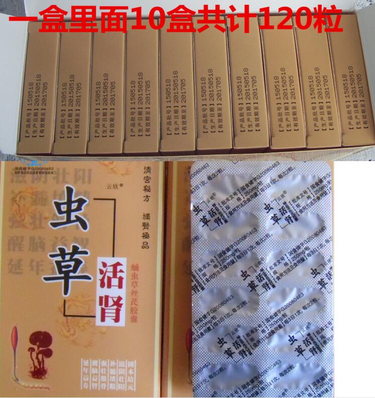 虫草活肾多少钱