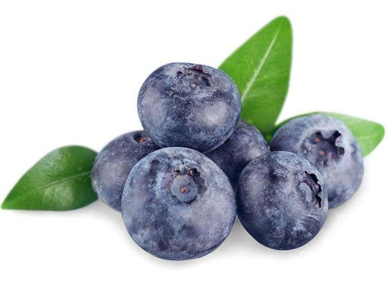 供应 蓝莓提取物 Blueberry Extract