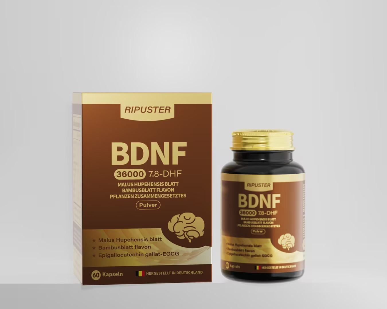 BDNFӪӽ