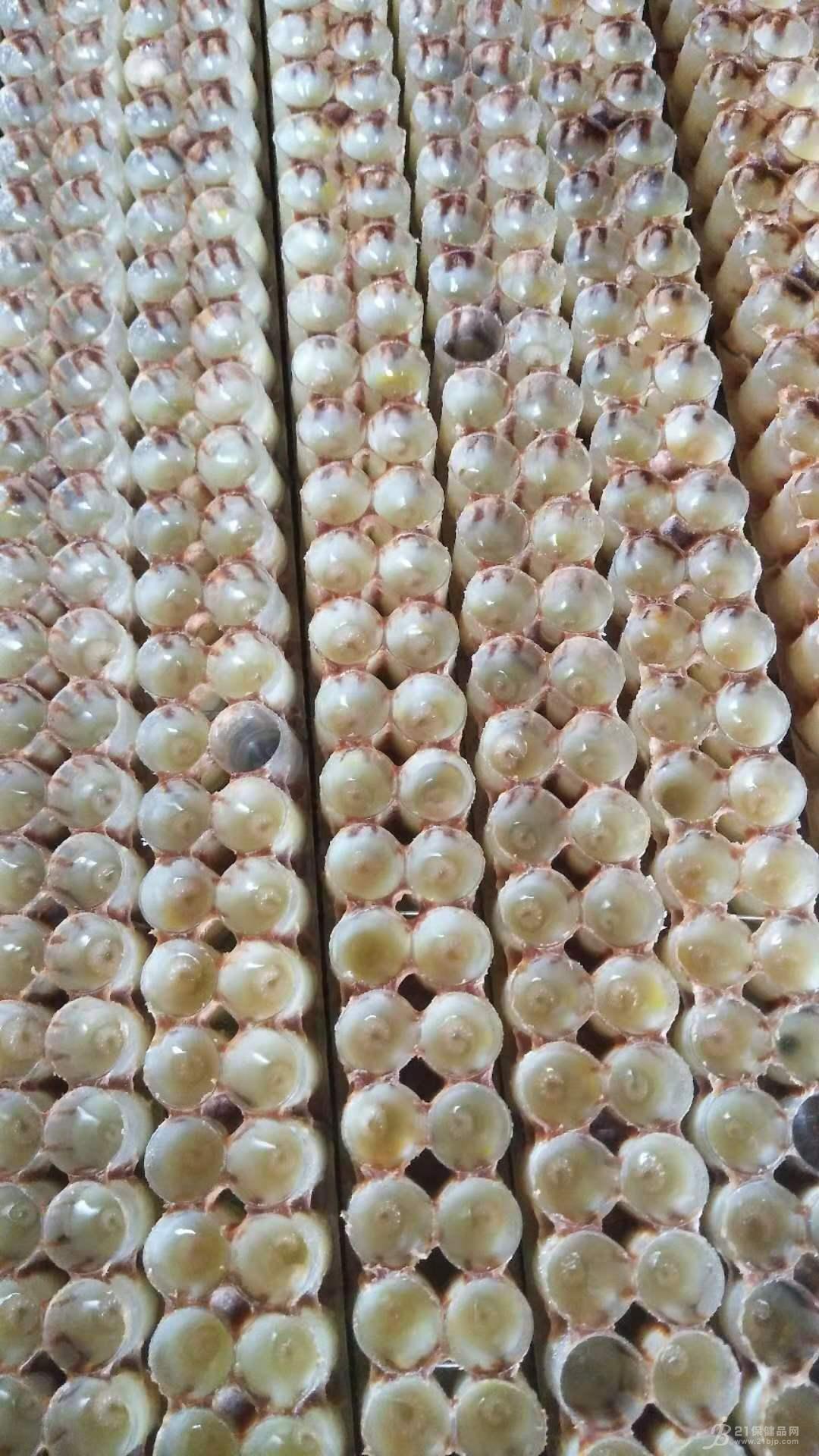 ʽ500g